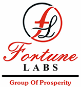 fortune-logo